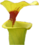 Sarracenia thumb01.png